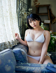 《二战日本宣传画》